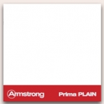 Plain ()