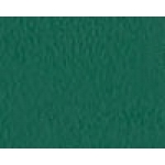 Reference Forest Green